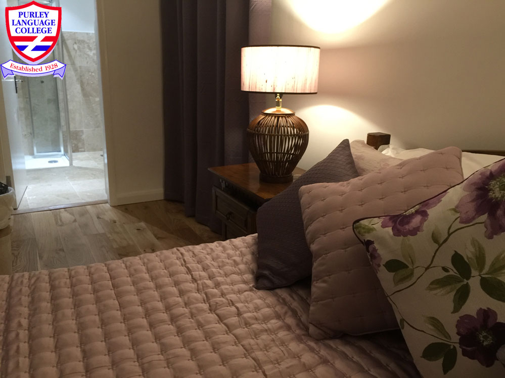 Hazel Residence Bb Guest House In Purley London Uk - 